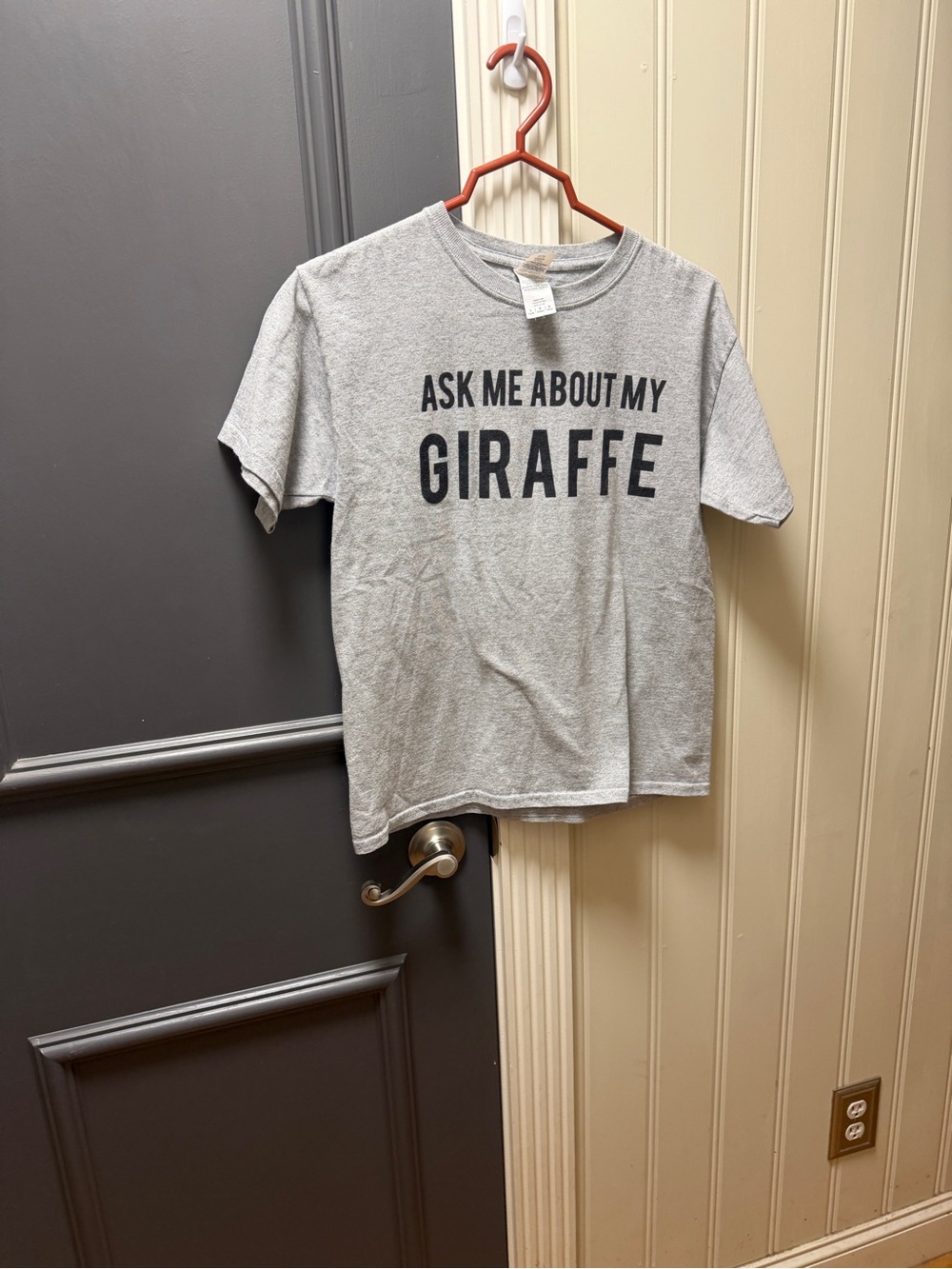 Kids Youth Large Gray 'Ask Me About My Giraffe' Graphic Tee